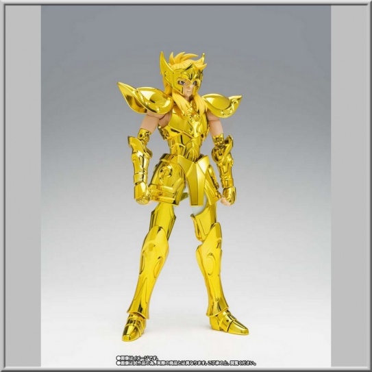 Myth Cloth EX Hyoga du Verseau - Inheritor Of The Gold Cloth - - Saint Seiya